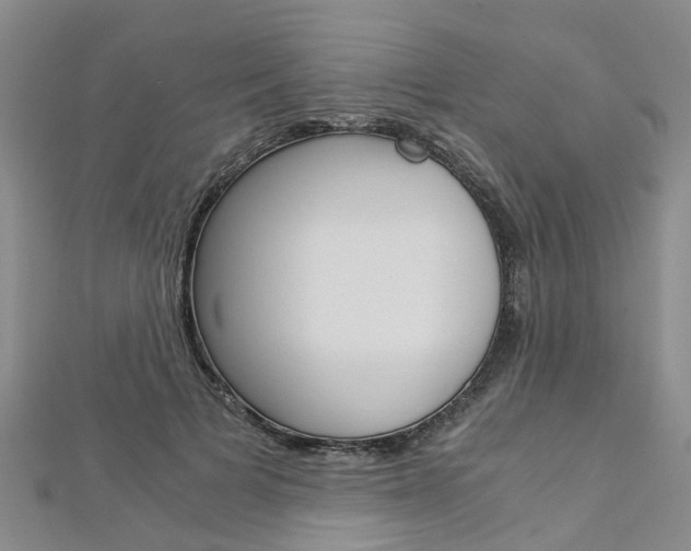 X0000112880697200908211051