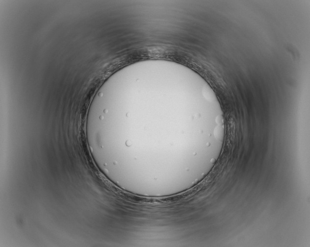 X0000112880698200908211051