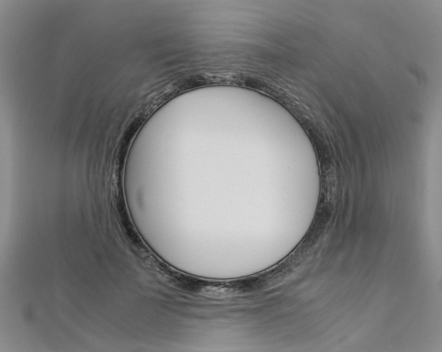 X0000112880699200908211051