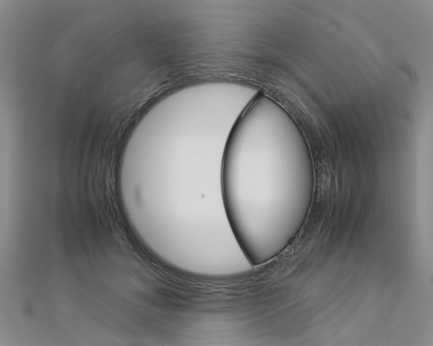 X0000112880700200908211051