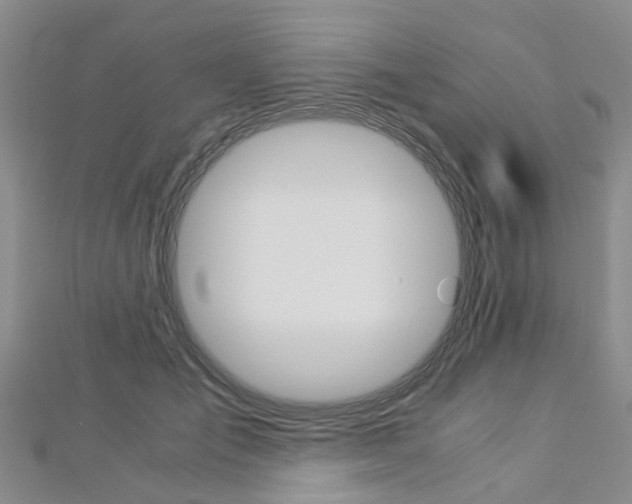 X0000112880701200908211051