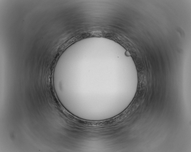X0000112880702200908211051