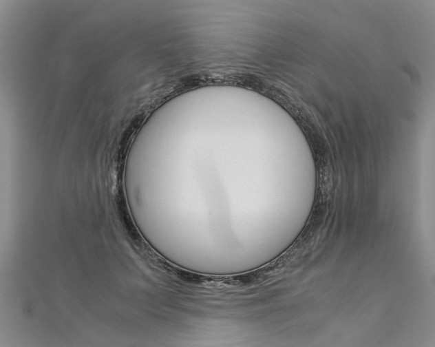 X0000112880703200908211051