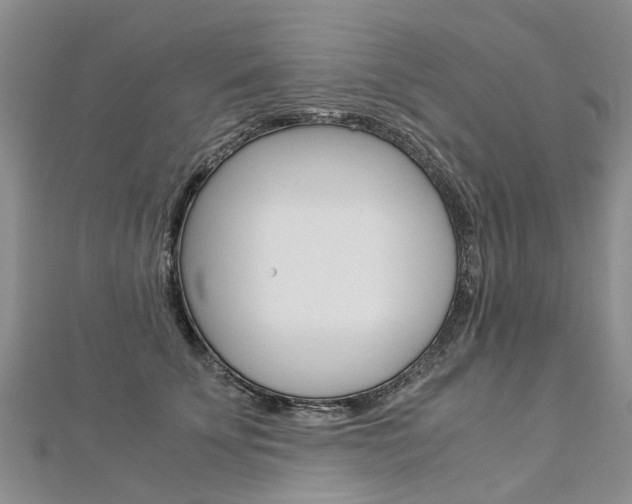 X0000112880707200908211051