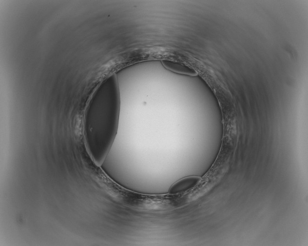 X0000112880708200908211051