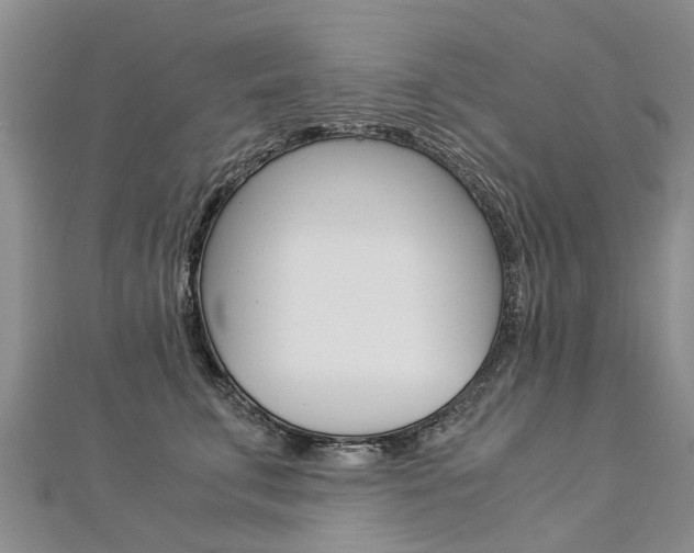 X0000112880711200908211051