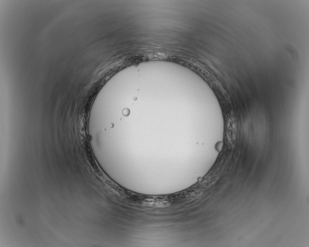 X0000112880714200908211051