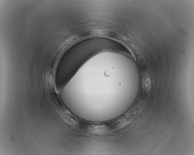 X0000112880716200908211051