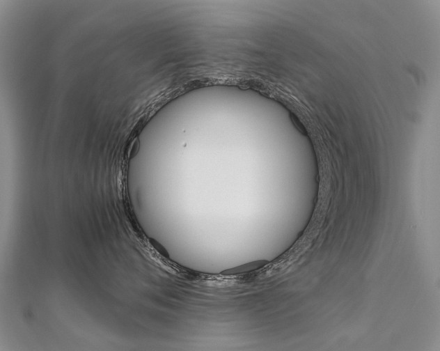 X0000112880720200908211051