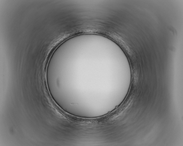 X0000112880721200908211050