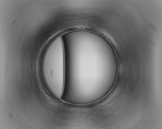 X0000112880722200908211050