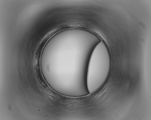 X0000112880723200908211050