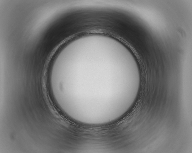 X0000112880724200908211050