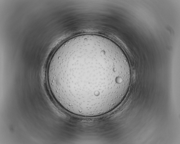 X0000112880725200908211051