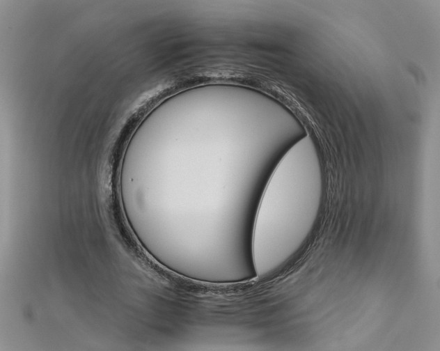X0000112880727200908211051