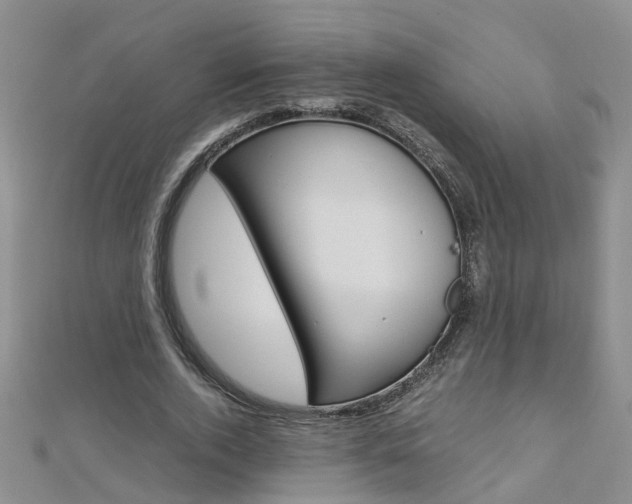 X0000112880728200908211051