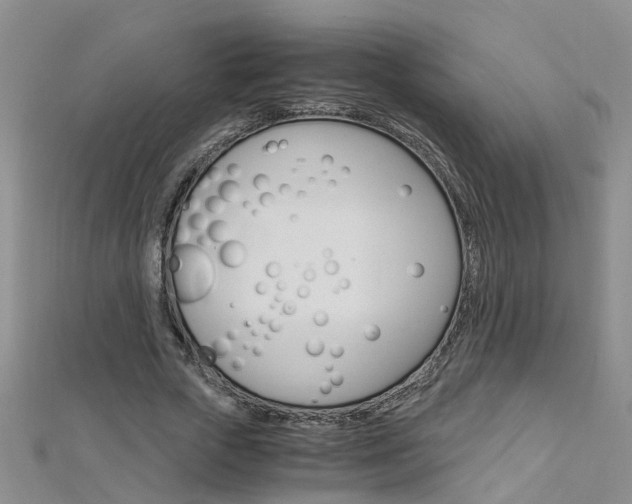 X0000112880729200908211051