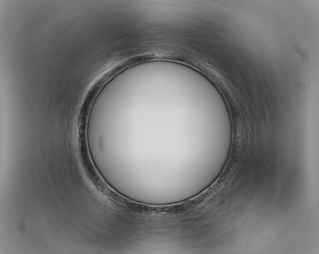 X0000112880730200908211051
