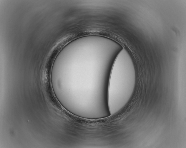 X0000112880731200908211051