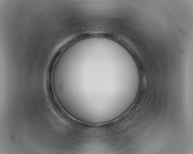 X0000112880732200908211051