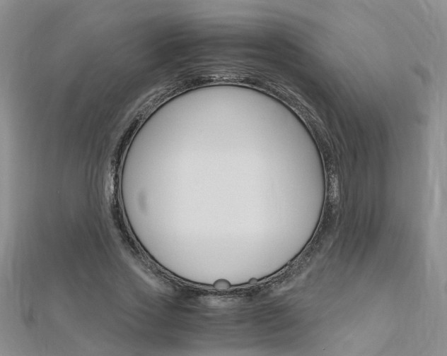 X0000112880733200908211051