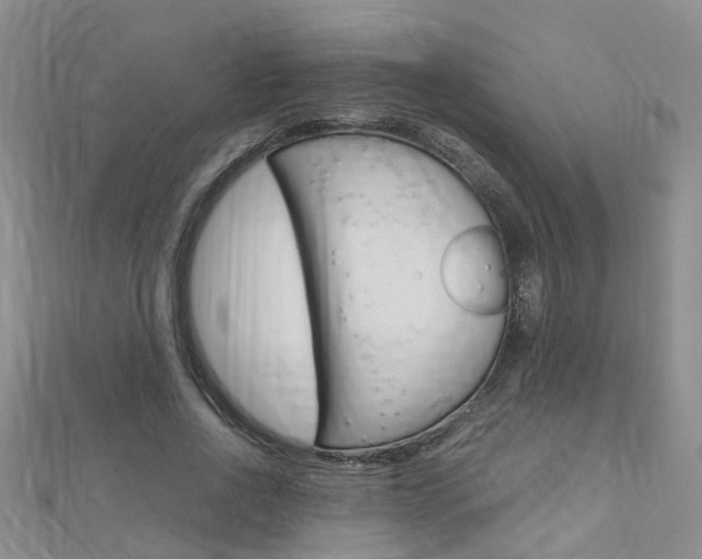 X0000112880734200908211051