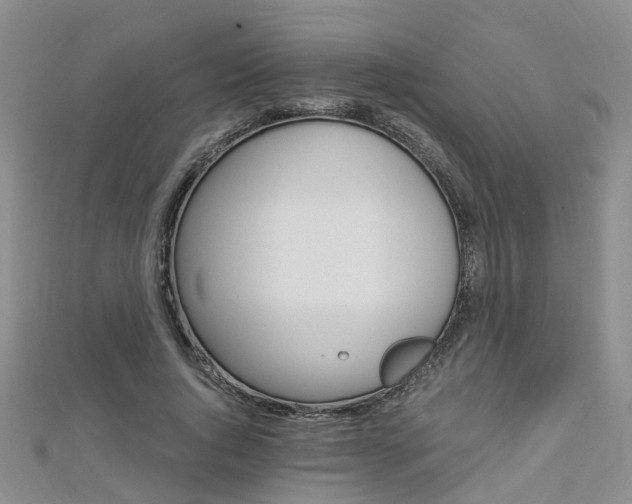 X0000112880736200908211051