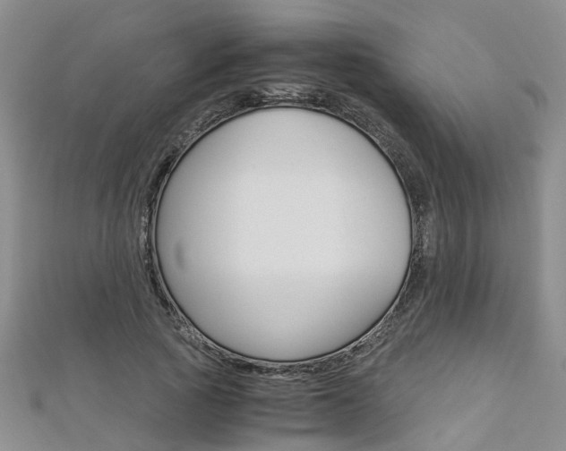 X0000112880737200908211051