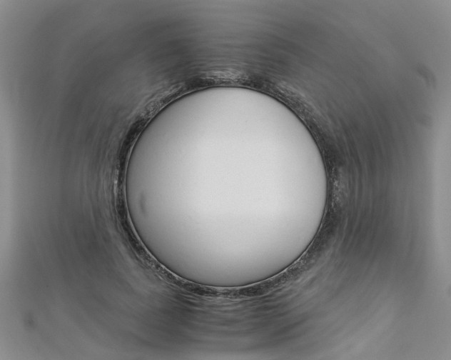 X0000112880739200908211051