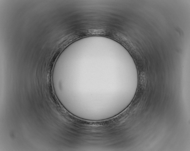 X0000112880741200908211051