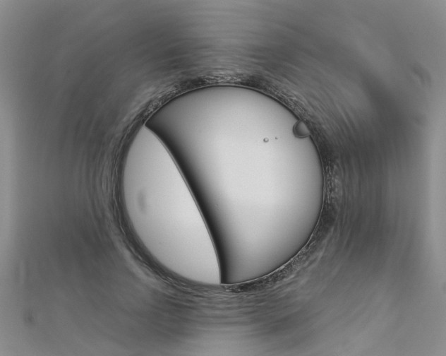 X0000112880742200908211051