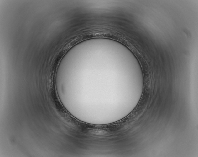 X0000112880743200908211051