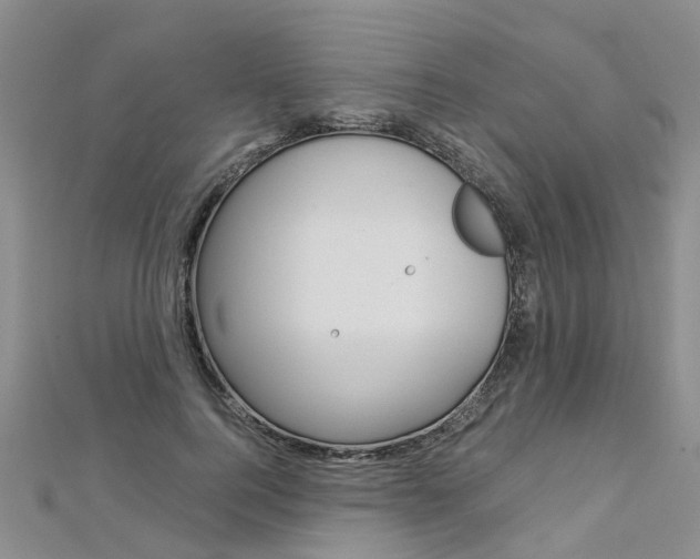 X0000112880744200908211051
