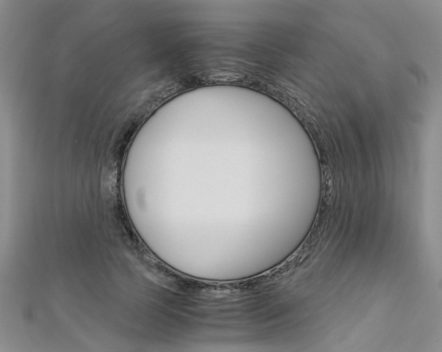 X0000112880745200908211051