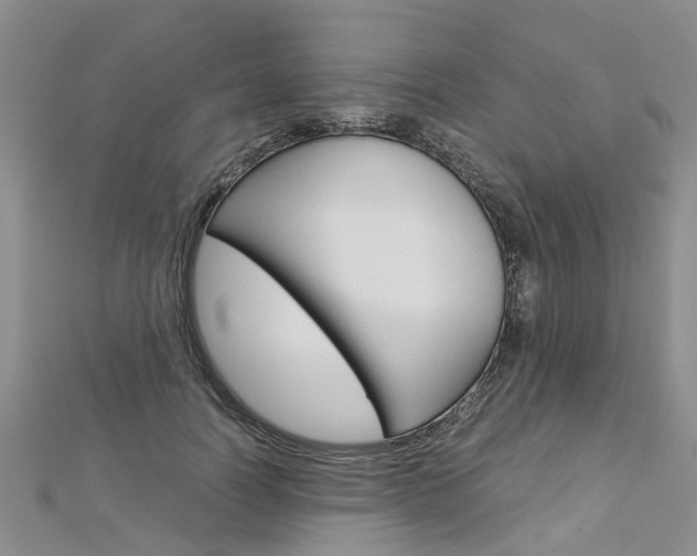 X0000112880746200908211051