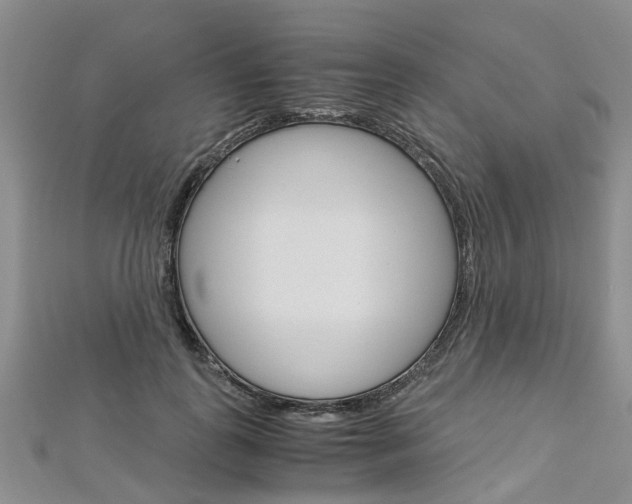 X0000112880747200908211051