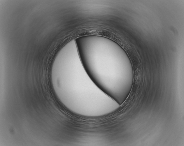 X0000112880748200908211051