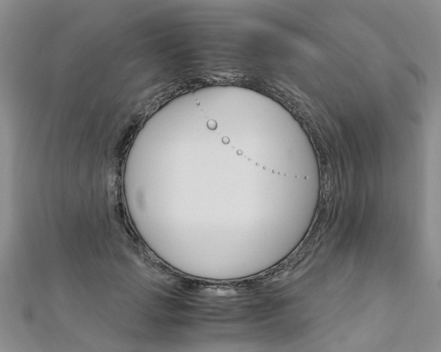 X0000112880749200908211051