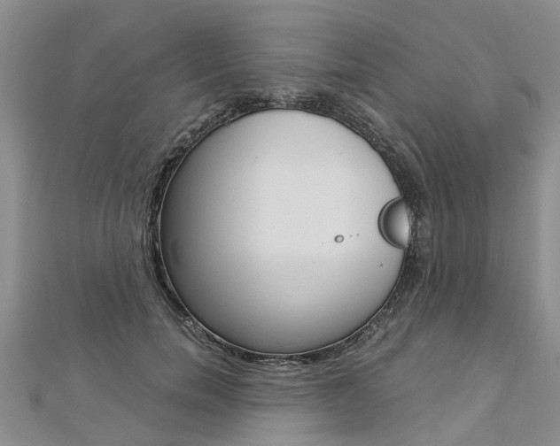 X0000112880750200908211051