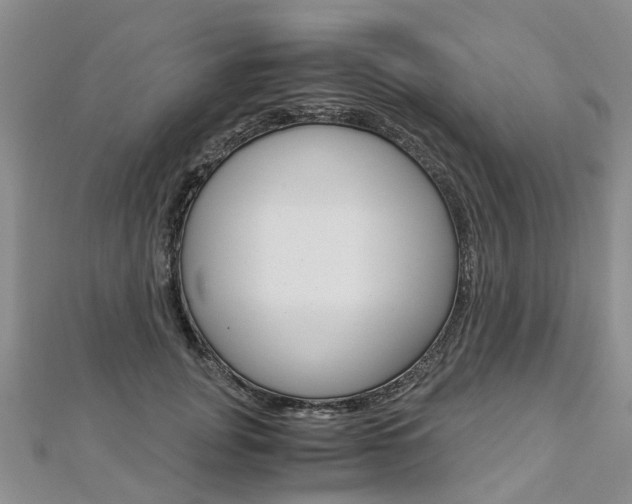 X0000112880751200908211051