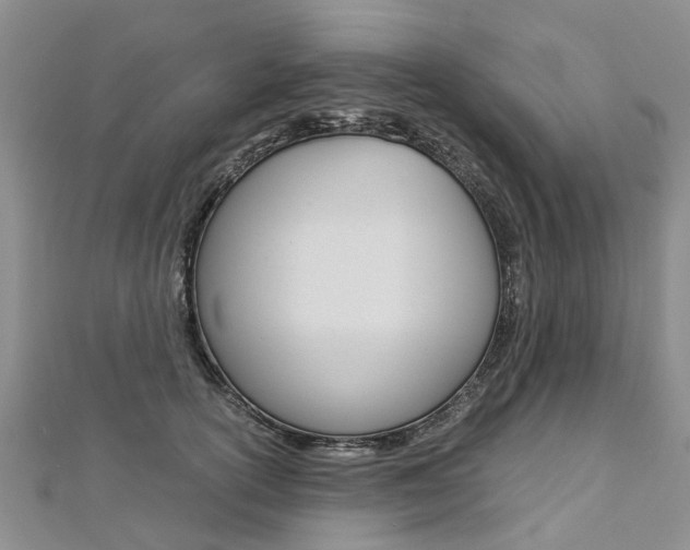 X0000112880754200908211051