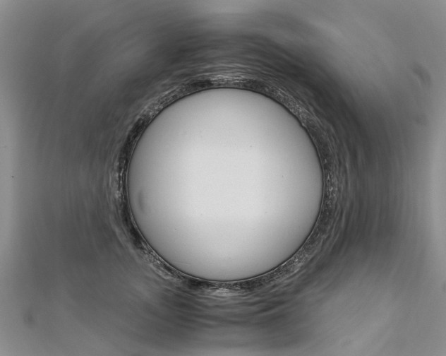 X0000112880755200908211051