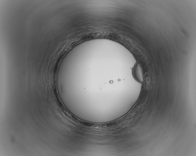 X0000112880756200908211051