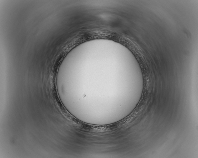 X0000112880757200908211051