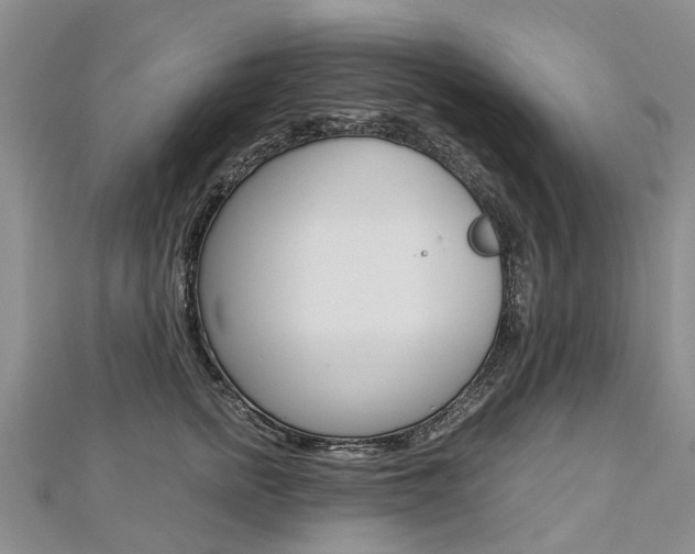 X0000112880758200908211051