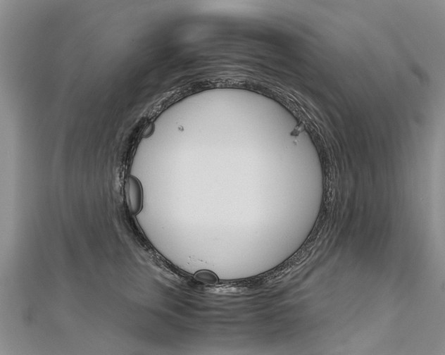 X0000112880759200908211051