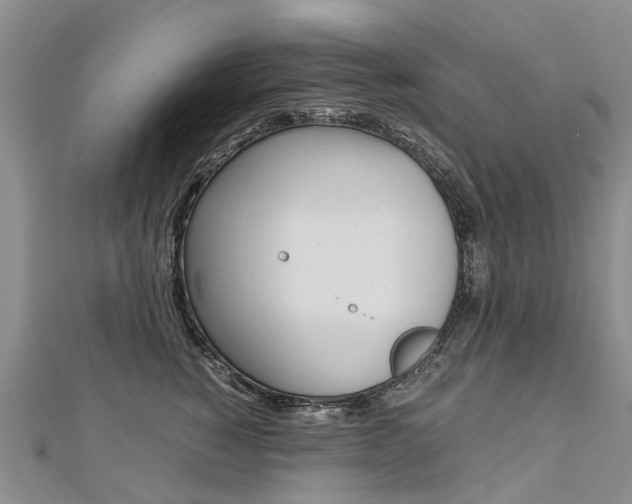 X0000112880760200908211051