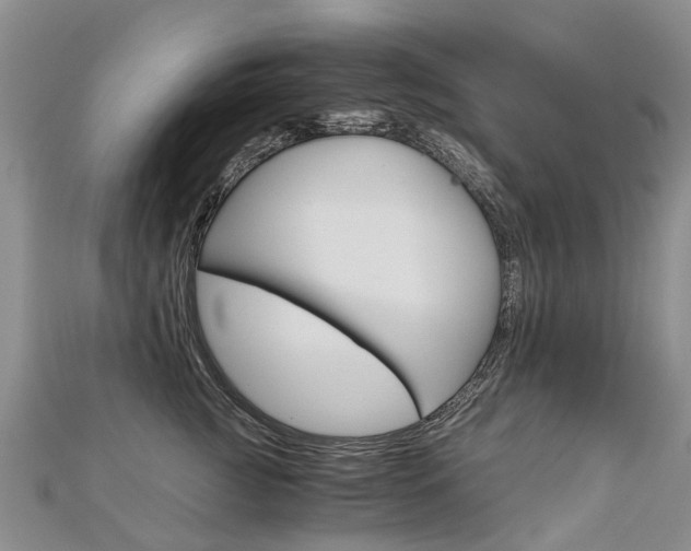 X0000112880761200908211051