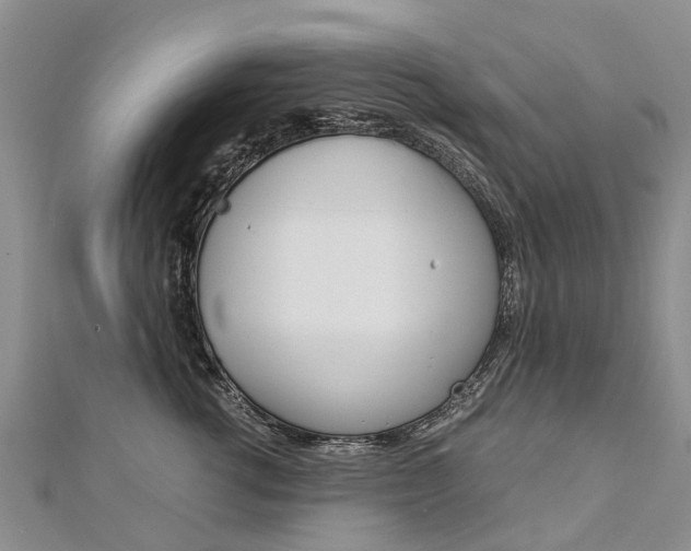 X0000112880762200908211051