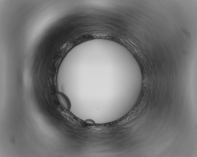 X0000112880763200908211051